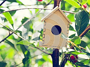 Cute wooden toy bird house in the depth of ripening cherry tree