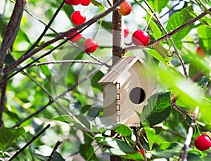 Cute wooden toy bird house in the depth of ripening cherry tree