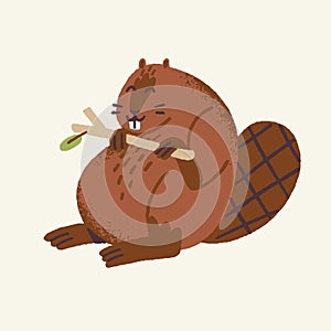 Cute woodland animal, beaver. Wild rodent with funny tail eat and gnaw branch. Wood beast with big teeth for nibbling