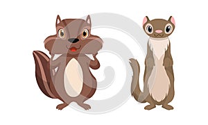 Cute Woodland Animals with Chipmunk and Stoat Vector Set