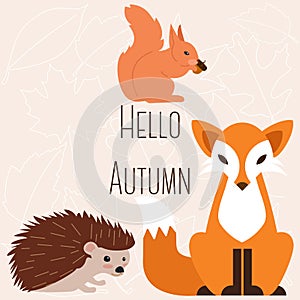 Cute woodland animals collection. Hedgehog, fox and squirrel in autumn. Vector illustration
