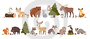 Cute woodland animals. Forest beasts bear, hare and fox, elk and squirrel, wild boar and deer, wolf and snake, badger