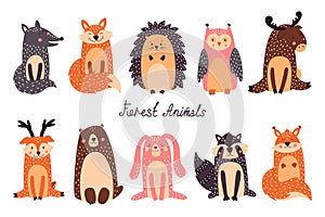 Cute Woodland Animals and Forest Design Elements Vector