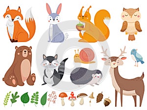 Cute woodland animals. Wild animal, forest flora and fauna elements isolated cartoon vector illustration set