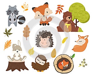 Cute woodland forest animals cartoon character set