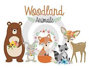 Woodland Forest Animals Vector Illustration photo