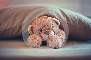 Cute wool teddy bear is lying in the bed