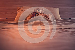 Cute wool teddy bear is lying in the bed