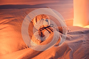 Cute wool teddy bear is lying in the bed