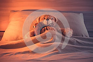 Cute wool teddy bear is lying in the bed