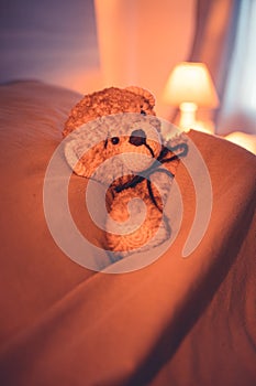 Cute wool teddy bear is lying in the bed