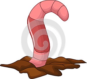 Cute worm cartoon photo