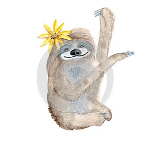 Cute xenarthra isolated on white background. Watercolor hand drawn illustration. Perfect for kid cards and posters