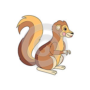 Cute xerus cartoon. African Ground Squirrel Illustration.