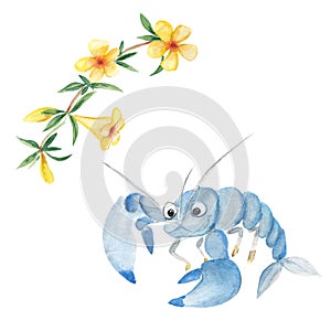Cute yabby and yellow bell, alamanda, isolated on white background. Watercolor hand drawn illustration. Perfect for kid