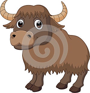 Cute yak cartoon