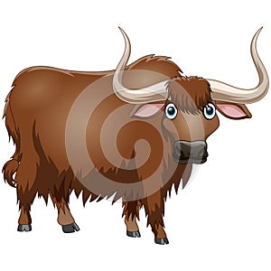 Cute yak cartoon on white background.