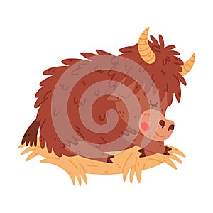 Cute Yak Character with Dense Fur and Horns Sleeping on Hay Vector Illustration