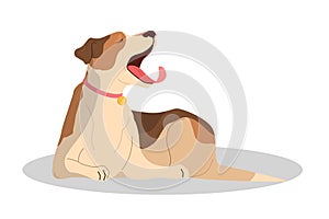 Cute yawning sleepy dog. Purebread jack russel terrier lying photo