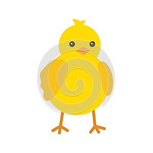 Cute yellow baby chicken for easter design. Little yellow cartoon chick. Vector illustration isolated on white