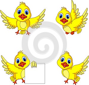 Cute yellow bird cartoon collection