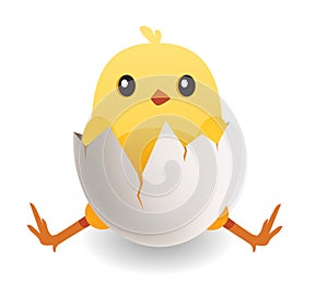 Cute yellow bird in cracked egg. Chick hatches from egg vector illustration