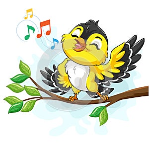 Cute yellow canary bird singing