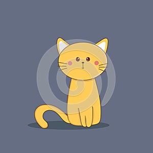 Cute yellow cat