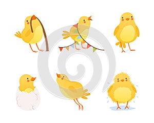 Cute Yellow Chick Engaged in Different Activity Vector Set