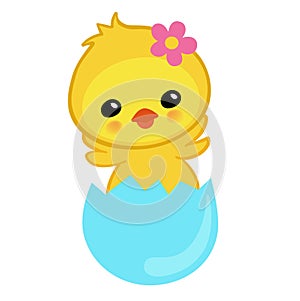 Cute yellow chick hatched from an egg.