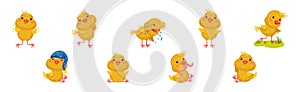 Cute Yellow Chicken Engaged in Different Activity Vector Set