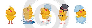 Cute Yellow Chicken Engaged in Different Activity Vector Set