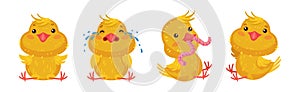 Cute Yellow Chicken Engaged in Different Activity Vector Set