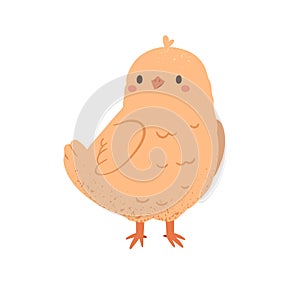 Cute yellow chicken. Funny small chick. Happy adorable newborn baby bird standing. Charming delicate sweet little