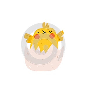 Cute yellow chicken hatched out of the egg. Newborn little funny chick emergence from egg. Elements for Easter designs