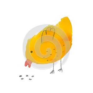 Cute yellow chicken pecks grains on a white background