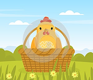 Cute Yellow Chicken Sitting in Wicker Basket on Spring or Summer Landscape Vector Illustration