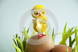 Cute Yellow chicken standing on Easter eggs among grass