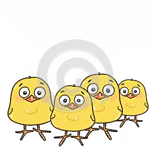 Cute yellow chicks and drawing illustration white background