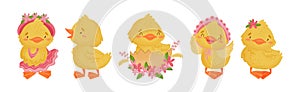 Cute Yellow Duckling with Wing and Feathers Vector Set