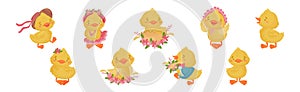 Cute Yellow Duckling with Wing and Feathers Vector Set