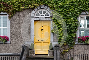 Cute yellow entrance door in a house braided with ivy