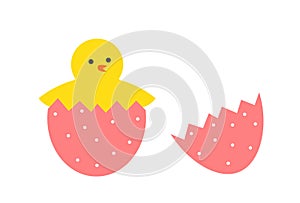 Cute yellow hatching chick from egg. Easter egg