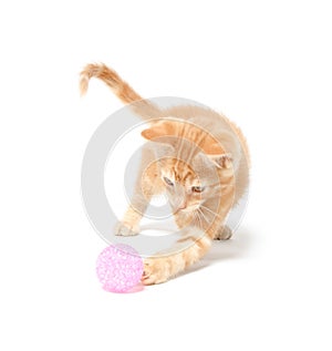 Cute yellow kitten playing with ball