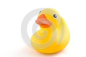 Cute yellow rubber duck