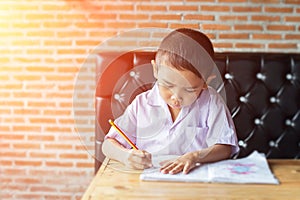 Cute young boy doing homework