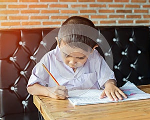 Cute young boy doing homework