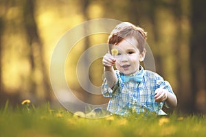 A Cute Young Boy in a Field of Flowers