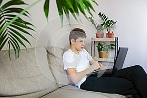 Cute young boy in glasses and white t shirt sitting on the sofa in the living room with laptop and study. Home education,