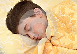 Cute young boy sleeping